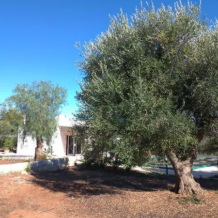 Trullo Felice Ostuni