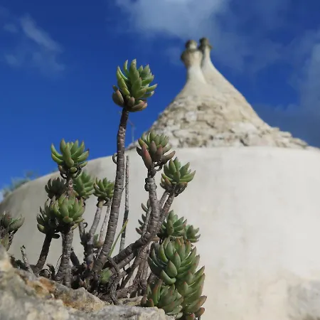 Semesterbostad Trullo Felice