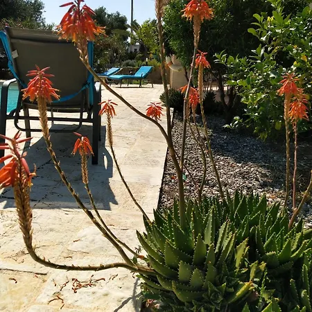 Semesterbostad Trullo Felice Ostuni