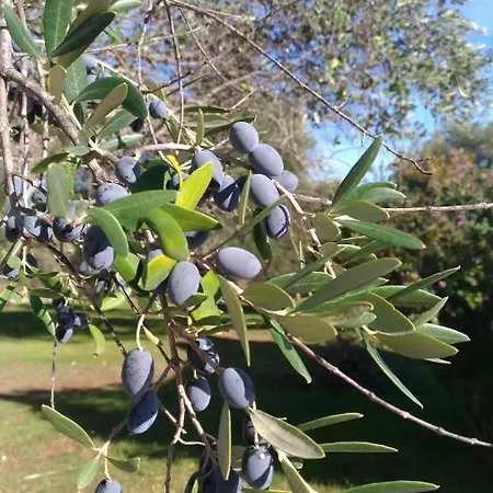 Semesterbostad Trullo Felice Ostuni